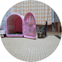 鈴木文昭 profile picture