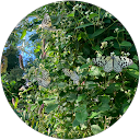 さいとう profile picture