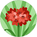 花 profile picture