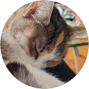 kurumi profile picture