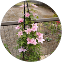 モリチー profile picture