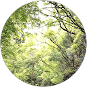 幸太三国 profile picture