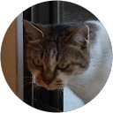 Kentaro ITO profile picture