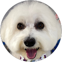 びしょんもこまる profile picture