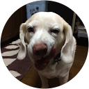 ひろこ profile picture