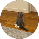 Lukeskytetsu profile picture