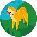 yoko profile picture