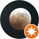 波動ちゃん profile picture