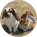 ayabo ayachan profile picture