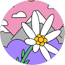 みーちー profile picture