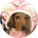 クゥ海 profile picture