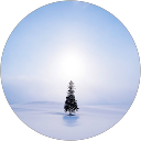 Youko M (アナベル) profile picture