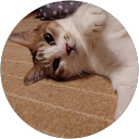 ラー profile picture