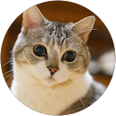 池田泰子 profile picture