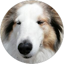 tatuya ohno profile picture