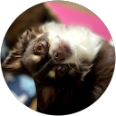 noah ka profile picture