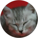 T- “みかんとはな” -T profile picture