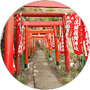 mitsu mizuno profile picture