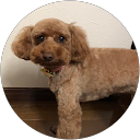 まーたんみーたん profile picture