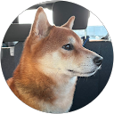 神Kamikaze風 profile picture