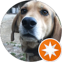 ばんじれんど profile picture