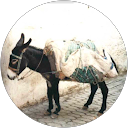 mikuri maeda profile picture