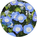 サラササラサ profile picture