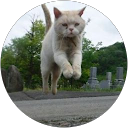 きむです profile picture