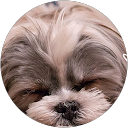 ミッキーどん profile picture