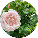 beni profile picture