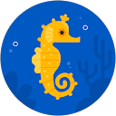 。。あざらし profile picture