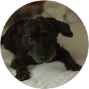 ZIN ZIN profile picture