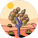 OKYMI profile picture