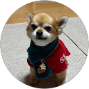 晴恵 profile picture