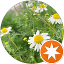 みちこ profile picture