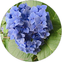 もーりー profile picture