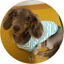 菊地恵美 profile picture