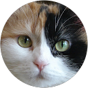 118POCO profile picture