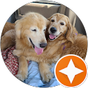 ハヤシリュウ profile picture