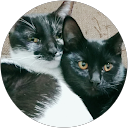 出原彩佳 profile picture