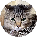 Mayumi profile picture