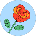 マジョリーナ profile picture