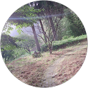 れだ profile picture