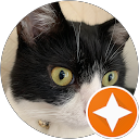 山崎ゆ profile picture