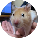 祥子 profile picture