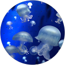 なお profile picture