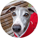 尾崎直美 profile picture