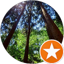 ぶぶ profile picture