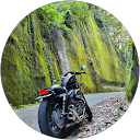 Shin profile picture