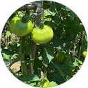 kathey profile picture